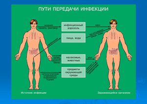 пути передачи гепатита