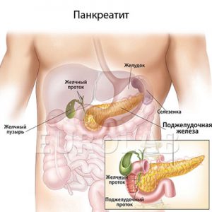 связь поджелудочной с другими органами