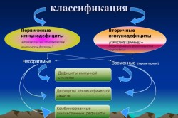 Классификация иммунодефицитов