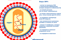 Схема вируса ВИЧ