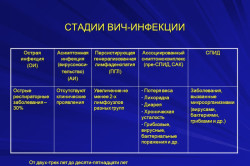 Стадии ВИЧ-инфекции
