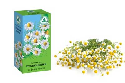цветки ромашки