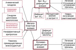Определение вида анемии