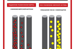 Действие антиретровирусной терапии