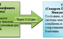 Отличие спида от вич