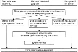 Причины гипопластической анемии