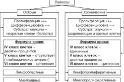 Виды лейкозов