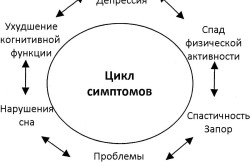 Цикл симптомов рассеянного склероза Цикл симптомов рассеянного склероза