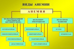 Виды анемии