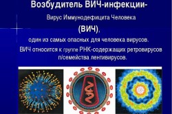 Возбудитель ВИЧ инфекции