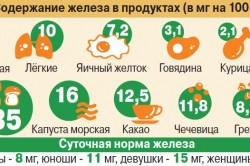 Содержание железа в продуктах
