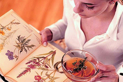 Изучение трав в книге
